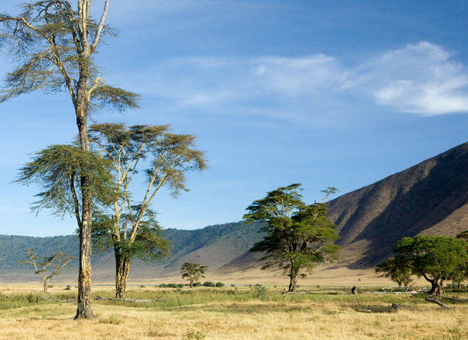 ngorongoro-crater-tanzania