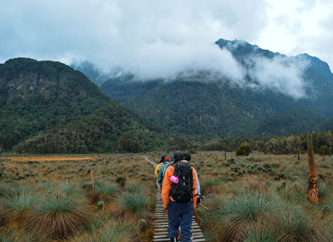 rwenzori-4 (1)