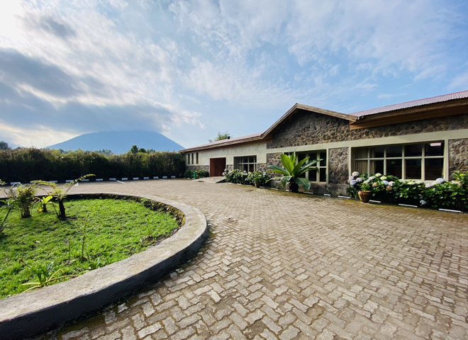 gorilla-view-lodge