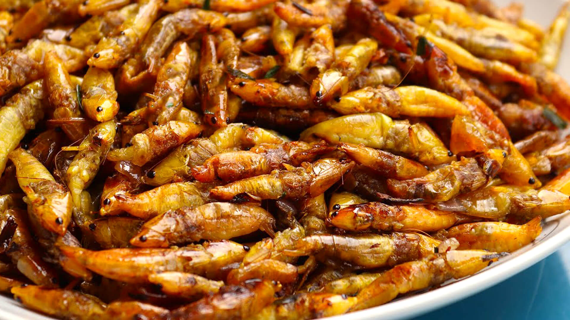 Grasshoppers –  Uganda’s Insect Snack