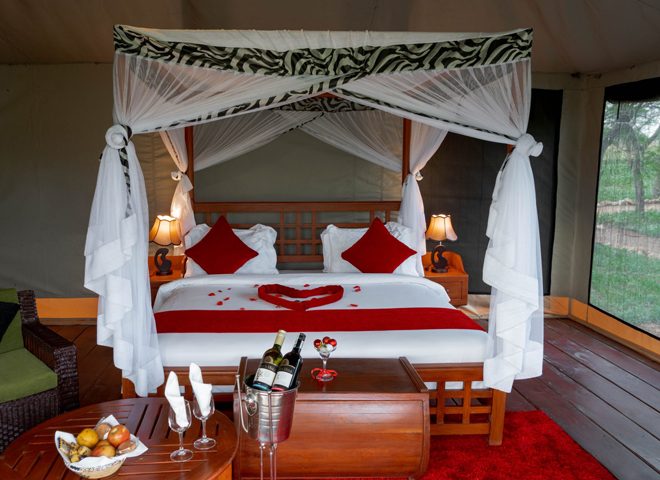 lodge-2