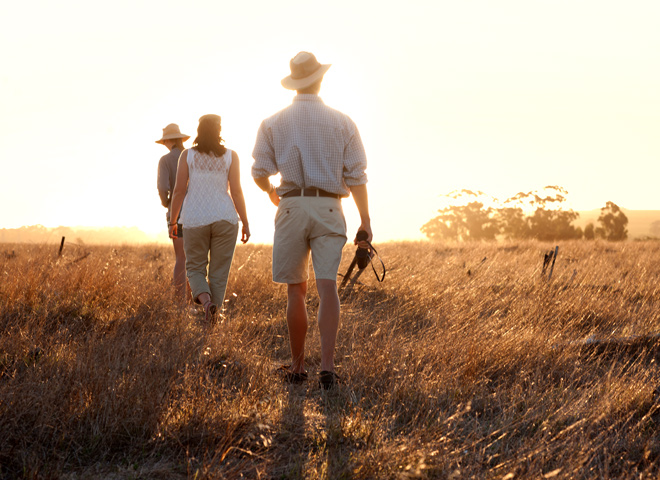 walking-safari
