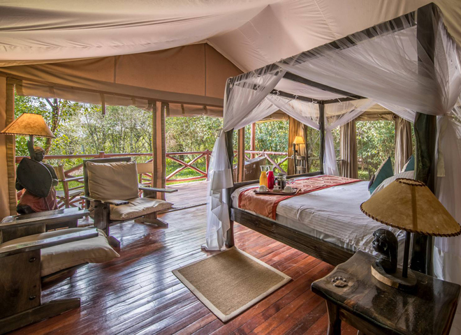 lodge-6